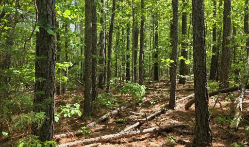 Photo #4 of Holiday Lake Rd, Appomattox, VA 15.0 acres