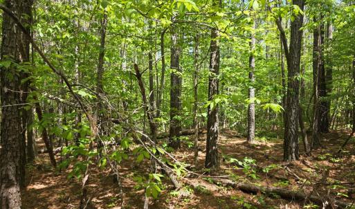 Photo #5 of Holiday Lake Rd, Appomattox, VA 15.0 acres