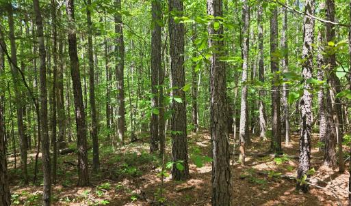 Photo #6 of Holiday Lake Rd, Appomattox, VA 15.0 acres