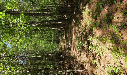Photo #7 of Holiday Lake Rd, Appomattox, VA 15.0 acres