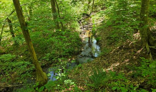 Photo #8 of Holiday Lake Rd, Appomattox, VA 15.0 acres