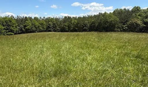 Photo #10 of Piney Mountain Rd, Appomattox, VA 22.7 acres