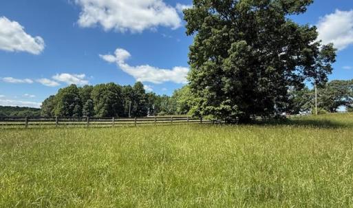 Photo #12 of Piney Mountain Rd, Appomattox, VA 22.7 acres