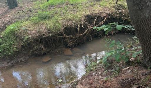 Photo #13 of Piney Mountain Rd, Appomattox, VA 22.7 acres