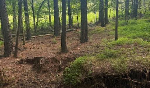 Photo #14 of Piney Mountain Rd, Appomattox, VA 22.7 acres