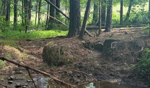 Photo #16 of Piney Mountain Rd, Appomattox, VA 22.7 acres