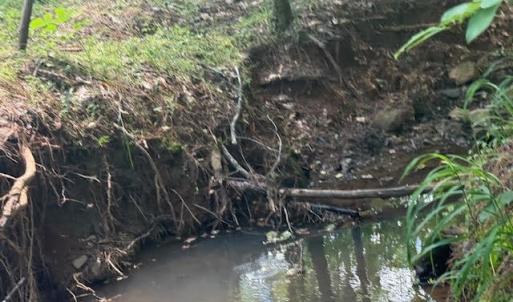 Photo #17 of Piney Mountain Rd, Appomattox, VA 22.7 acres