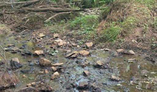 Photo #18 of Piney Mountain Rd, Appomattox, VA 22.7 acres