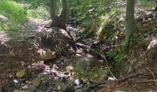 Photo #19 of Piney Mountain Rd, Appomattox, VA 22.7 acres