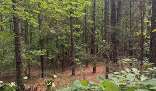 Photo #29 of Piney Mountain Rd, Appomattox, VA 22.7 acres