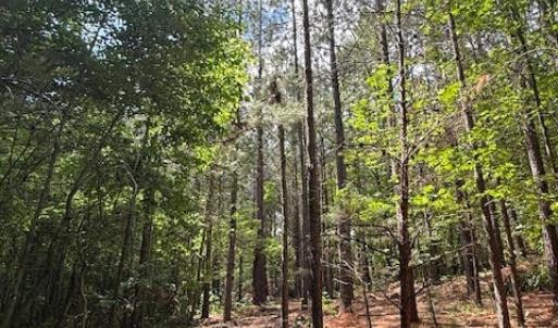 Photo #3 of Piney Mountain Rd, Appomattox, VA 22.7 acres