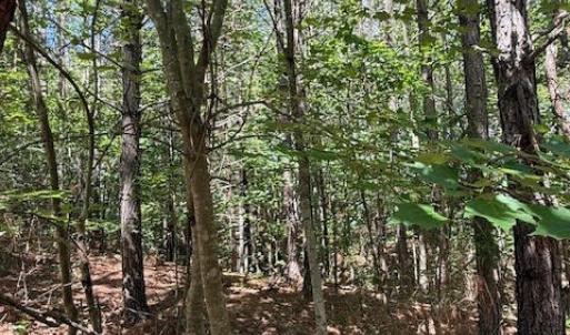 Photo #6 of Piney Mountain Rd, Appomattox, VA 22.7 acres