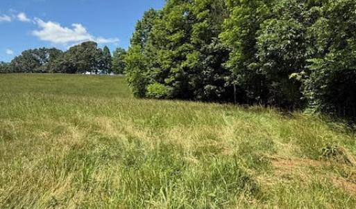 Photo #8 of Piney Mountain Rd, Appomattox, VA 22.7 acres