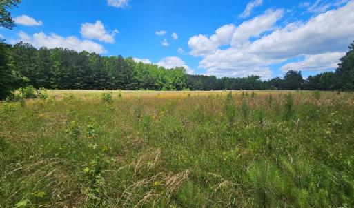 Photo #10 of 26.55 Acres Namozine Road, Amelia Court House, VA 26.6 acres