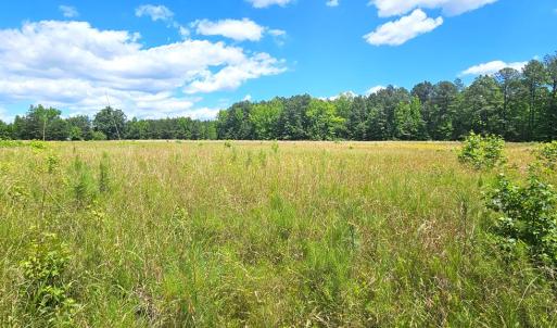 Photo #11 of 26.55 Acres Namozine Road, Amelia Court House, VA 26.6 acres