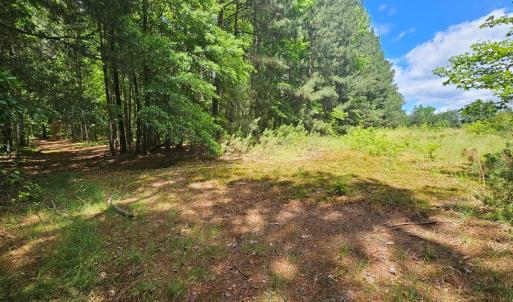 Photo #12 of 26.55 Acres Namozine Road, Amelia Court House, VA 26.6 acres