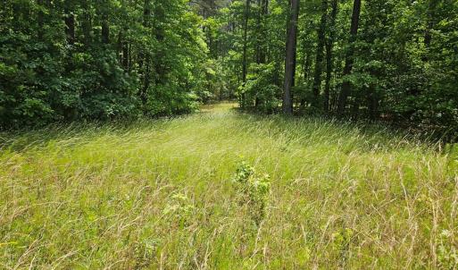 Photo #13 of 26.55 Acres Namozine Road, Amelia Court House, VA 26.6 acres