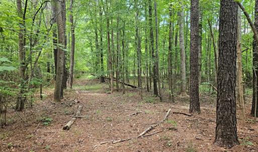 Photo #15 of 26.55 Acres Namozine Road, Amelia Court House, VA 26.6 acres