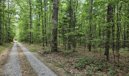 Photo #19 of 26.55 Acres Namozine Road, Amelia Court House, VA 26.6 acres