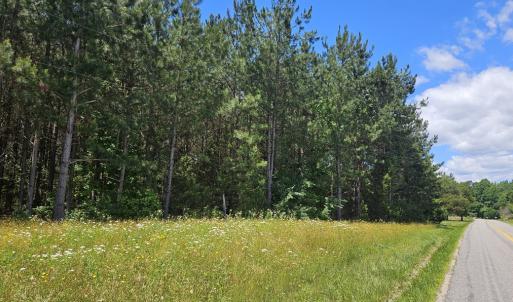 Photo #4 of 26.55 Acres Namozine Road, Amelia Court House, VA 26.6 acres