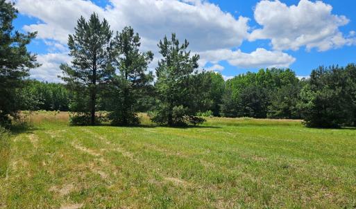 Photo #6 of 26.55 Acres Namozine Road, Amelia Court House, VA 26.6 acres