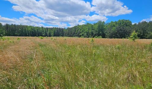 Photo #8 of 26.55 Acres Namozine Road, Amelia Court House, VA 26.6 acres