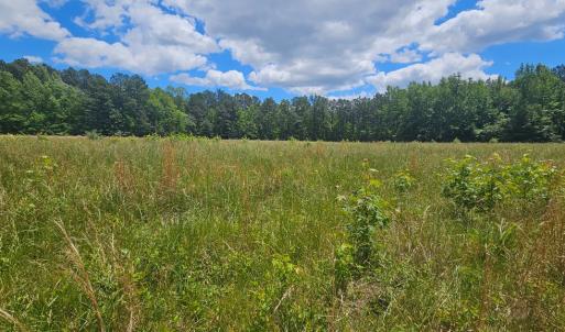 Photo #9 of 26.55 Acres Namozine Road, Amelia Court House, VA 26.6 acres