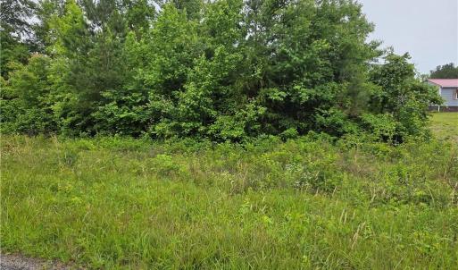 Photo #2 of TBD Plank Road, Lunenburg, VA 2.4 acres