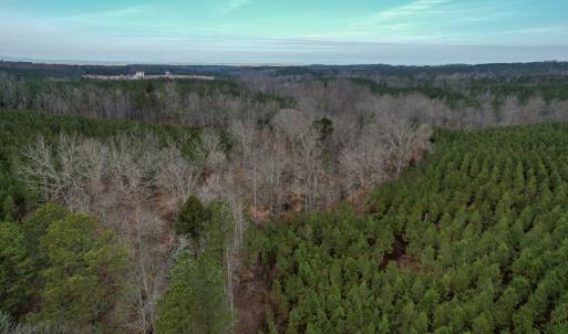 Photo #10 of Perkins Mill Rd, Dillwyn, VA 164.0 acres