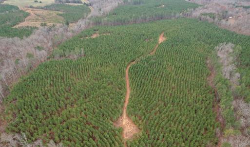 Photo #11 of Perkins Mill Rd, Dillwyn, VA 164.0 acres
