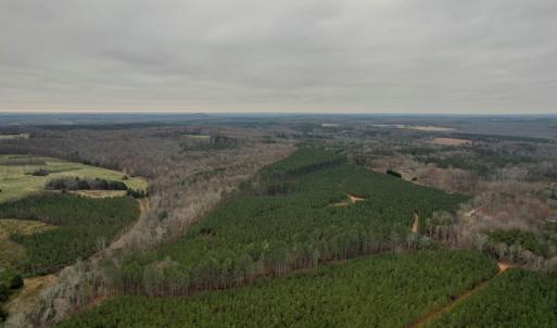 Photo #12 of Perkins Mill Rd, Dillwyn, VA 164.0 acres
