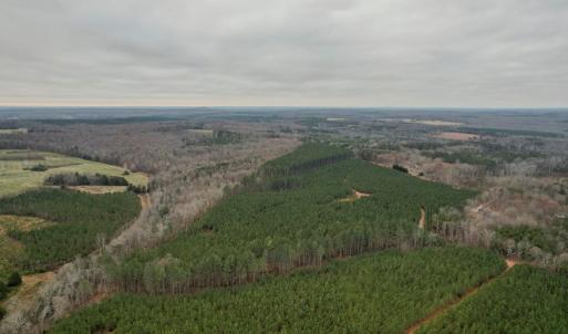 Photo #13 of Perkins Mill Rd, Dillwyn, VA 164.0 acres