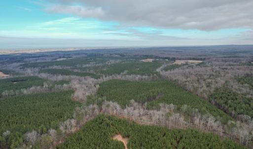 Photo #14 of Perkins Mill Rd, Dillwyn, VA 164.0 acres