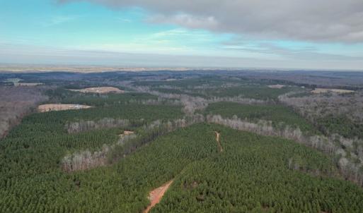 Photo #16 of Perkins Mill Rd, Dillwyn, VA 164.0 acres