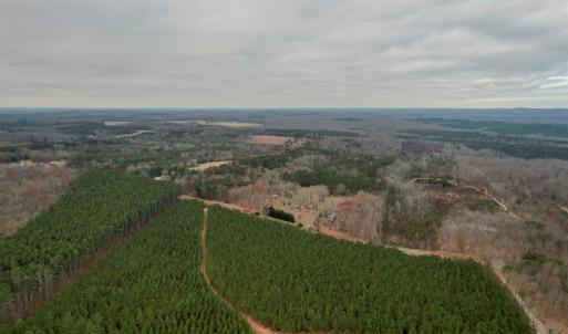 Photo #17 of Perkins Mill Rd, Dillwyn, VA 164.0 acres