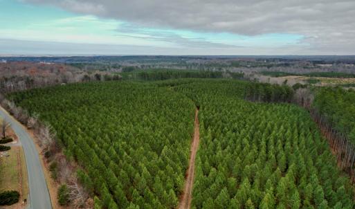 Photo #19 of Perkins Mill Rd, Dillwyn, VA 164.0 acres