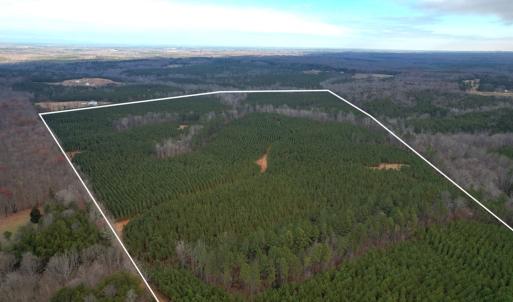Photo #2 of Perkins Mill Rd, Dillwyn, VA 164.0 acres
