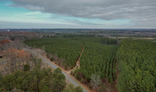 Photo #20 of Perkins Mill Rd, Dillwyn, VA 164.0 acres