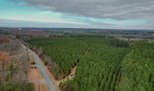 Photo #21 of Perkins Mill Rd, Dillwyn, VA 164.0 acres
