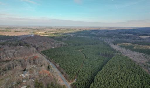 Photo #23 of Perkins Mill Rd, Dillwyn, VA 164.0 acres