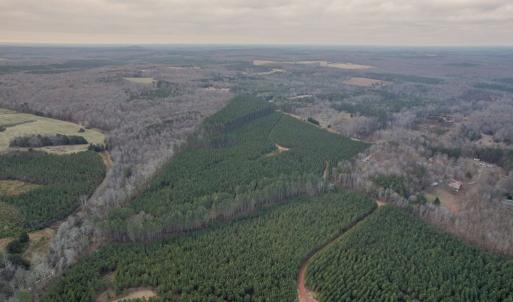Photo #24 of Perkins Mill Rd, Dillwyn, VA 164.0 acres
