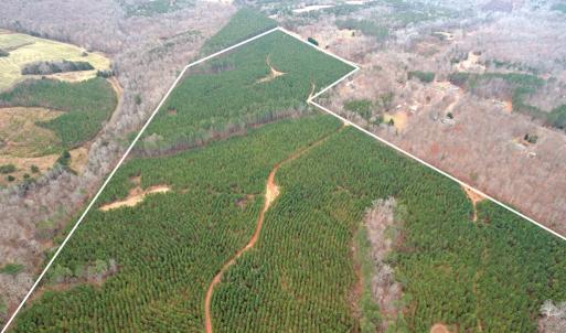 Photo #3 of Perkins Mill Rd, Dillwyn, VA 164.0 acres