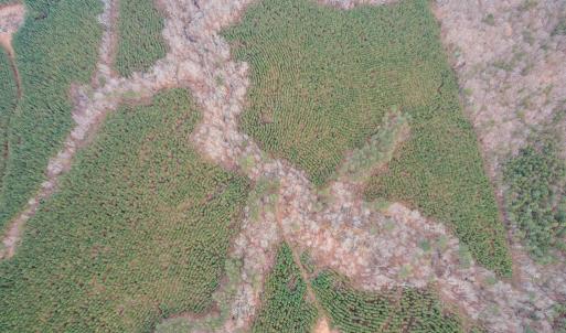 Photo #32 of Perkins Mill Rd, Dillwyn, VA 164.0 acres