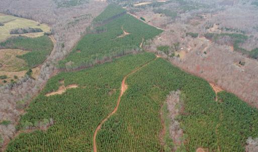 Photo #33 of Perkins Mill Rd, Dillwyn, VA 164.0 acres