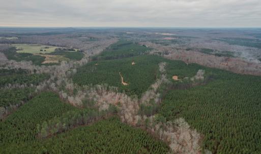 Photo #35 of Perkins Mill Rd, Dillwyn, VA 164.0 acres