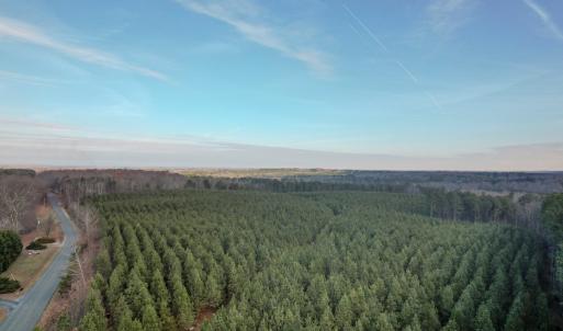 Photo #4 of Perkins Mill Rd, Dillwyn, VA 164.0 acres