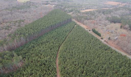 Photo #47 of Perkins Mill Rd, Dillwyn, VA 164.0 acres