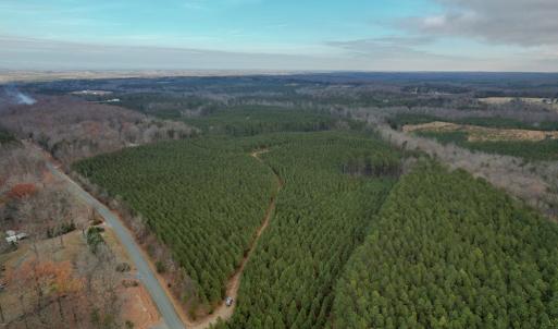 Photo #53 of Perkins Mill Rd, Dillwyn, VA 164.0 acres
