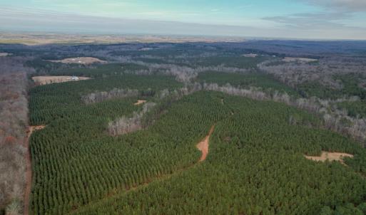 Photo #56 of Perkins Mill Rd, Dillwyn, VA 164.0 acres