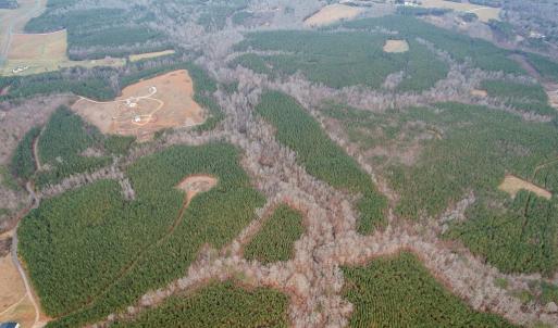 Photo #60 of Perkins Mill Rd, Dillwyn, VA 164.0 acres